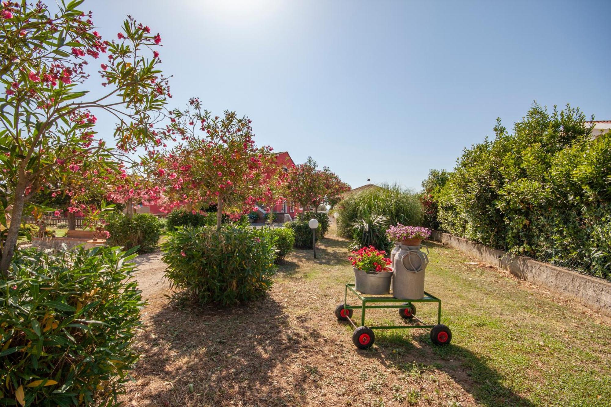 Agriturismo L'Istrice di Giò Villa Montalto di Castro Esterno foto