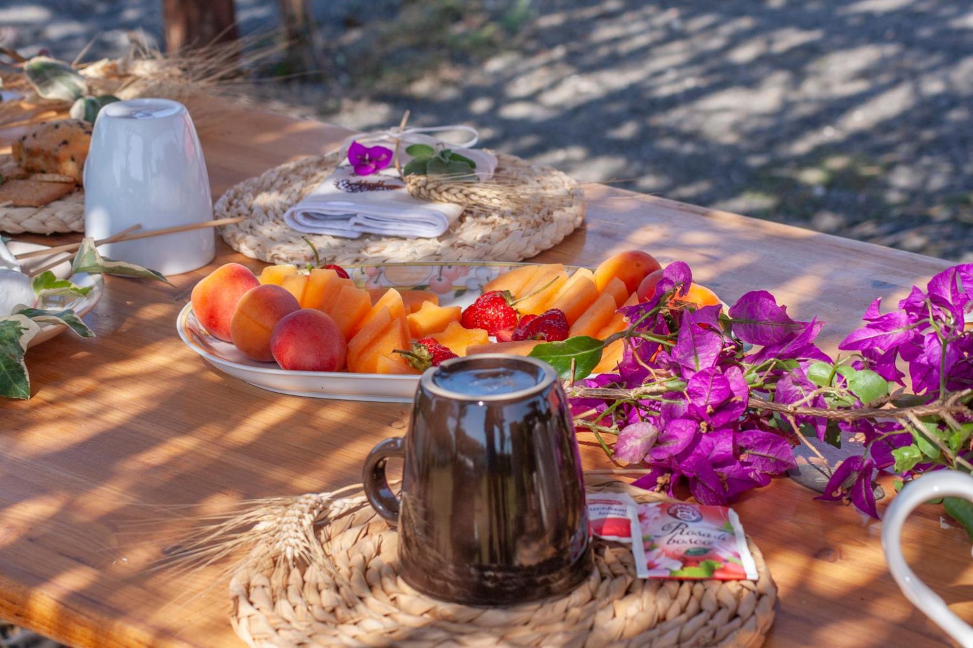 Agriturismo L'Istrice di Giò Villa Montalto di Castro Esterno foto